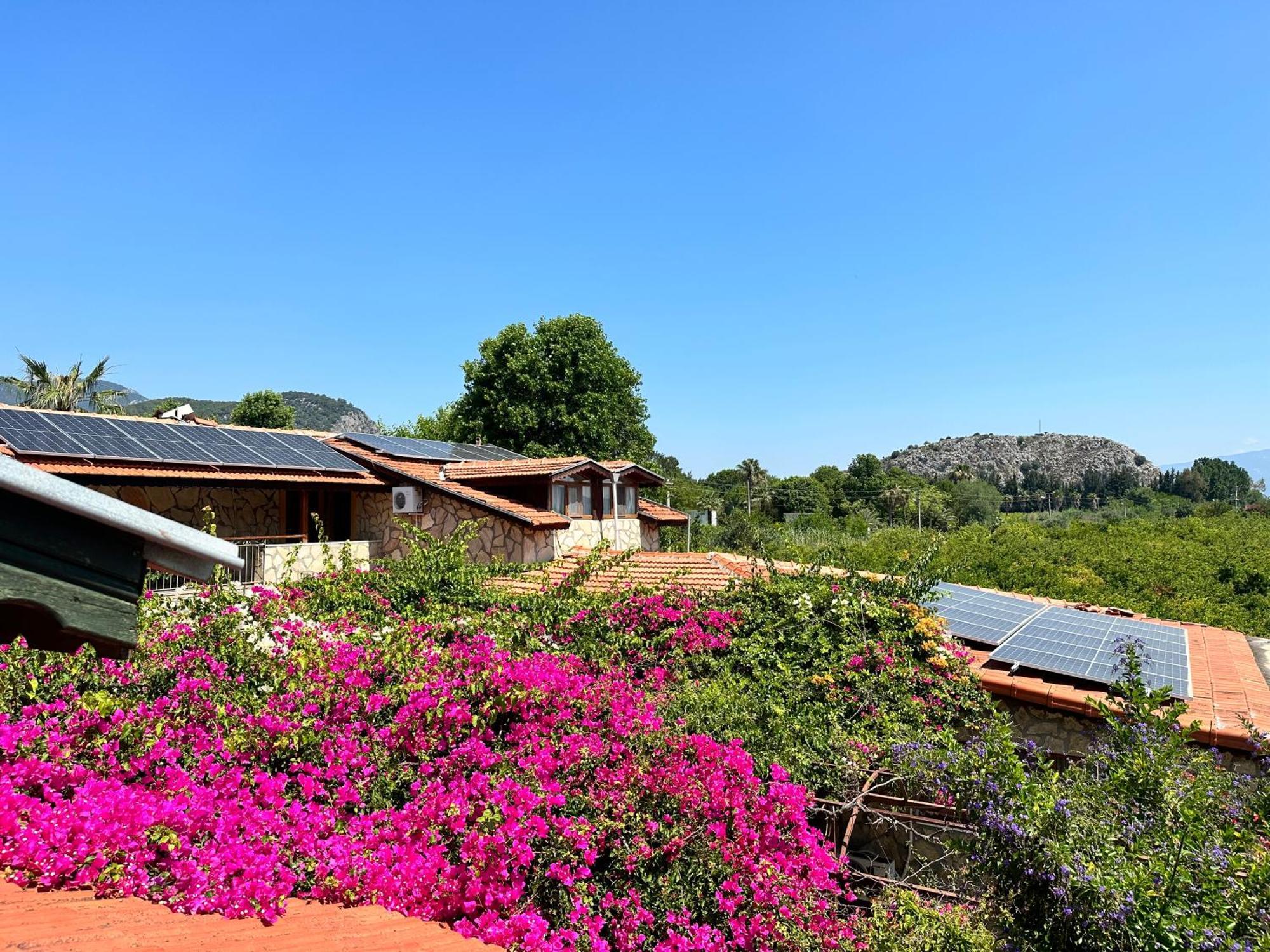 Bahaus Resort Dalyan Exterior foto
