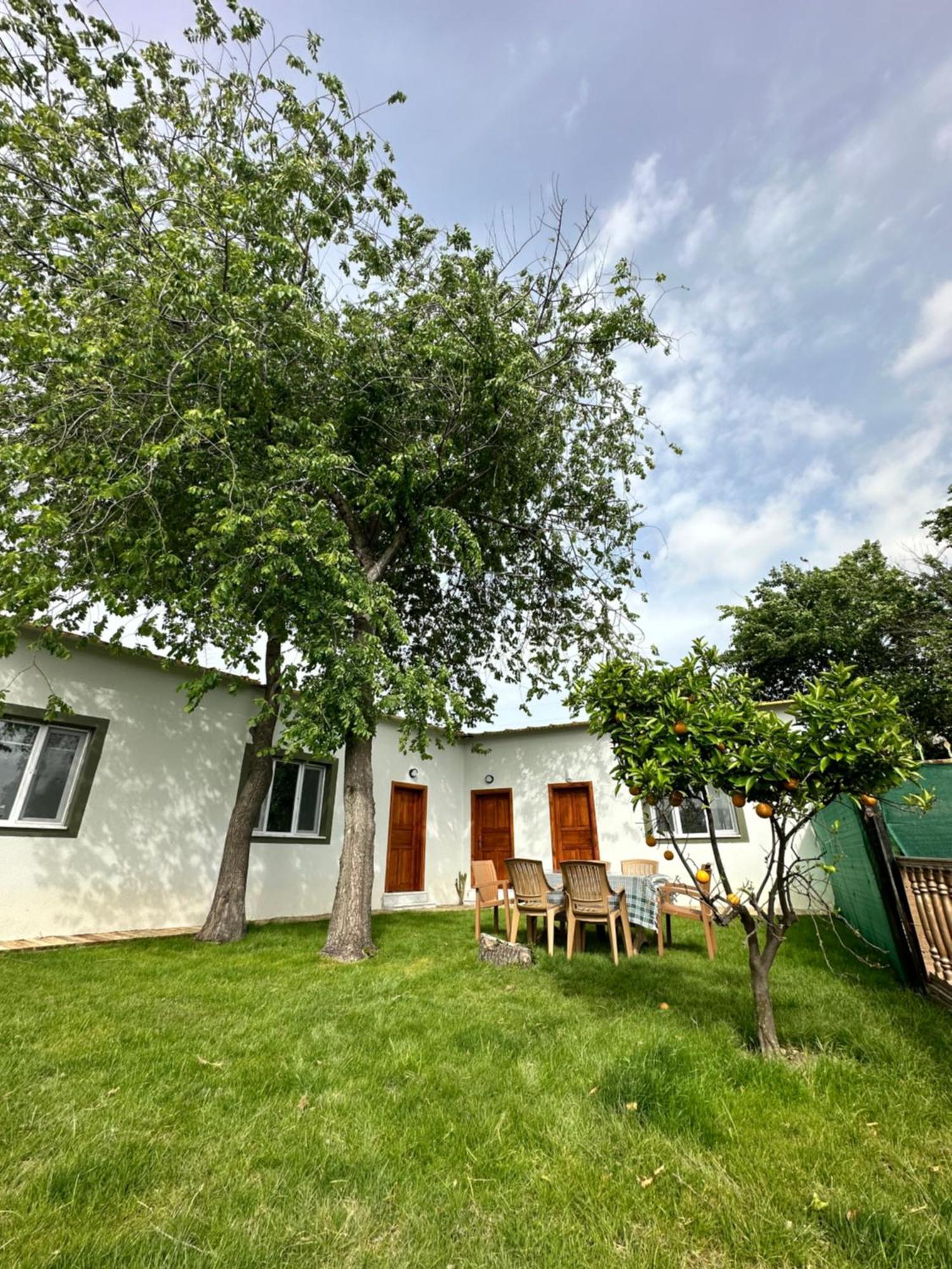 Bahaus Resort Dalyan Exterior foto