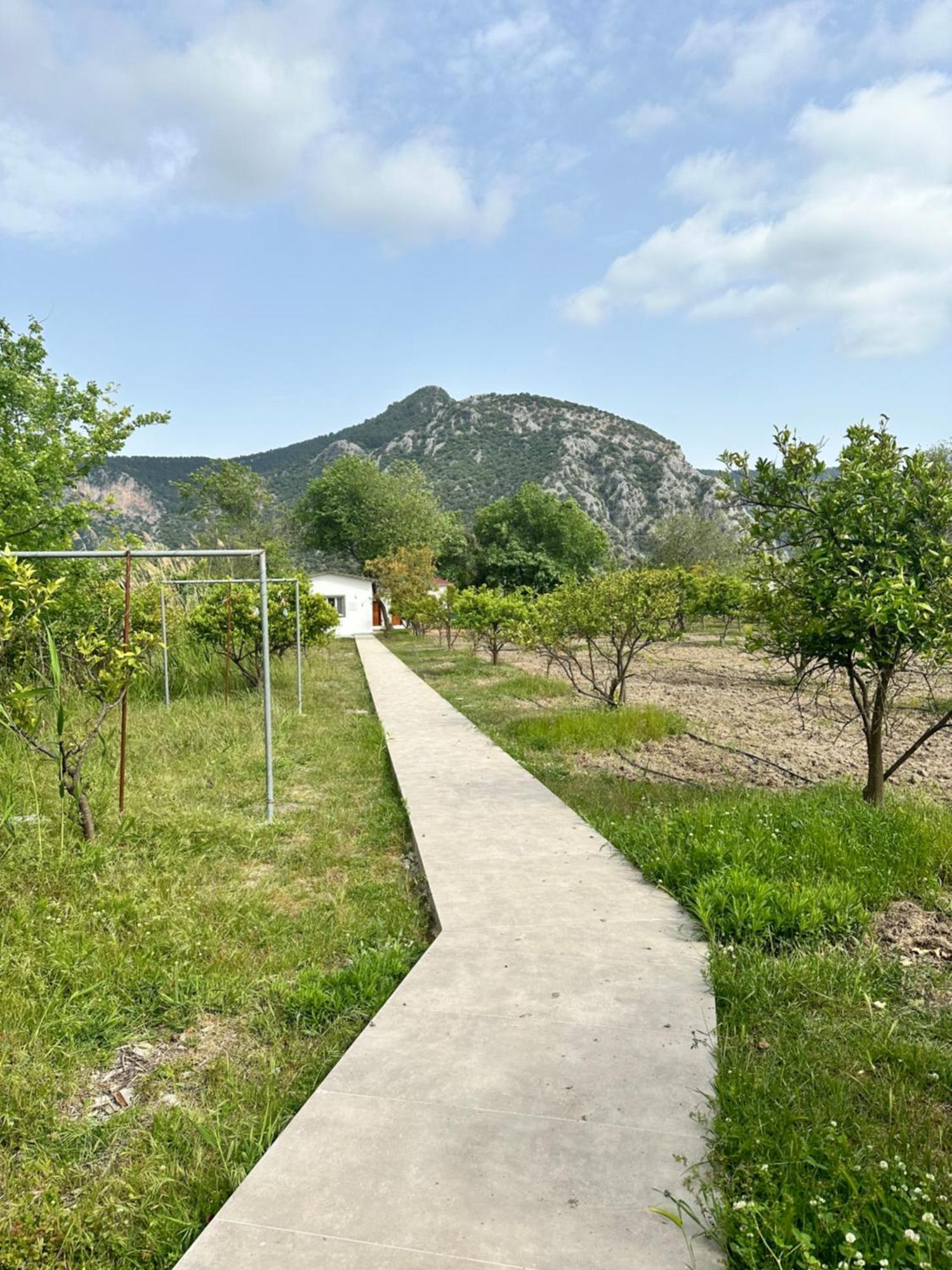 Bahaus Resort Dalyan Zimmer foto