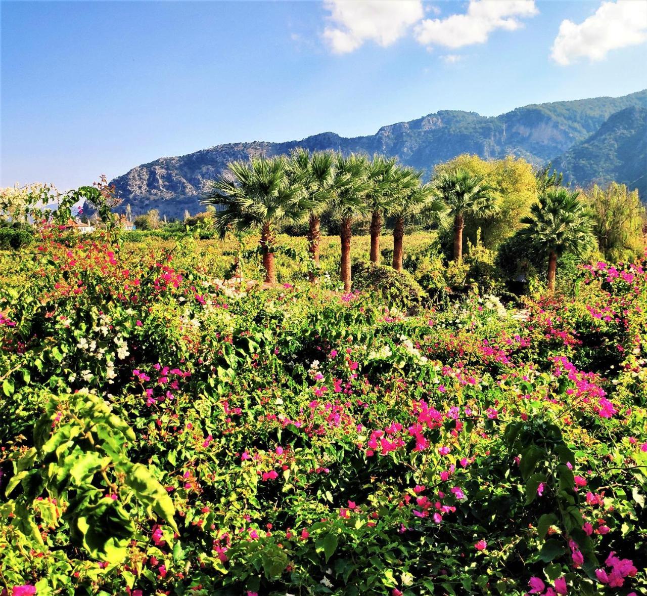 Bahaus Resort Dalyan Exterior foto